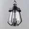 Maxim Lighting Mariner Large 2-Light Outdoor Pendant, Black/Antique Brass 30623CDBKAB - alternate 3